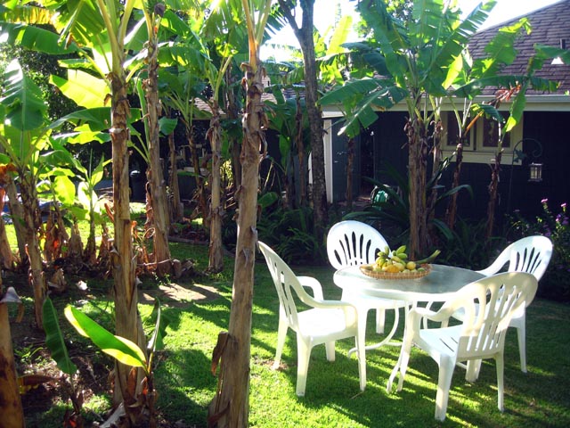 outside dining and relaxing in the peaceful garden setting