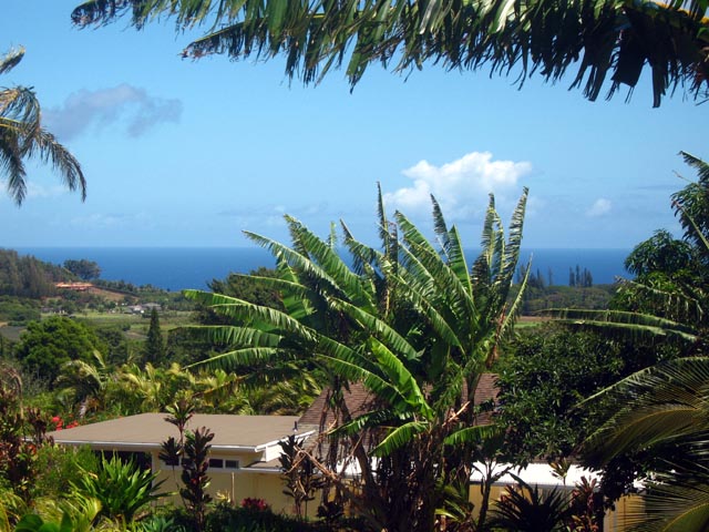beautiful views