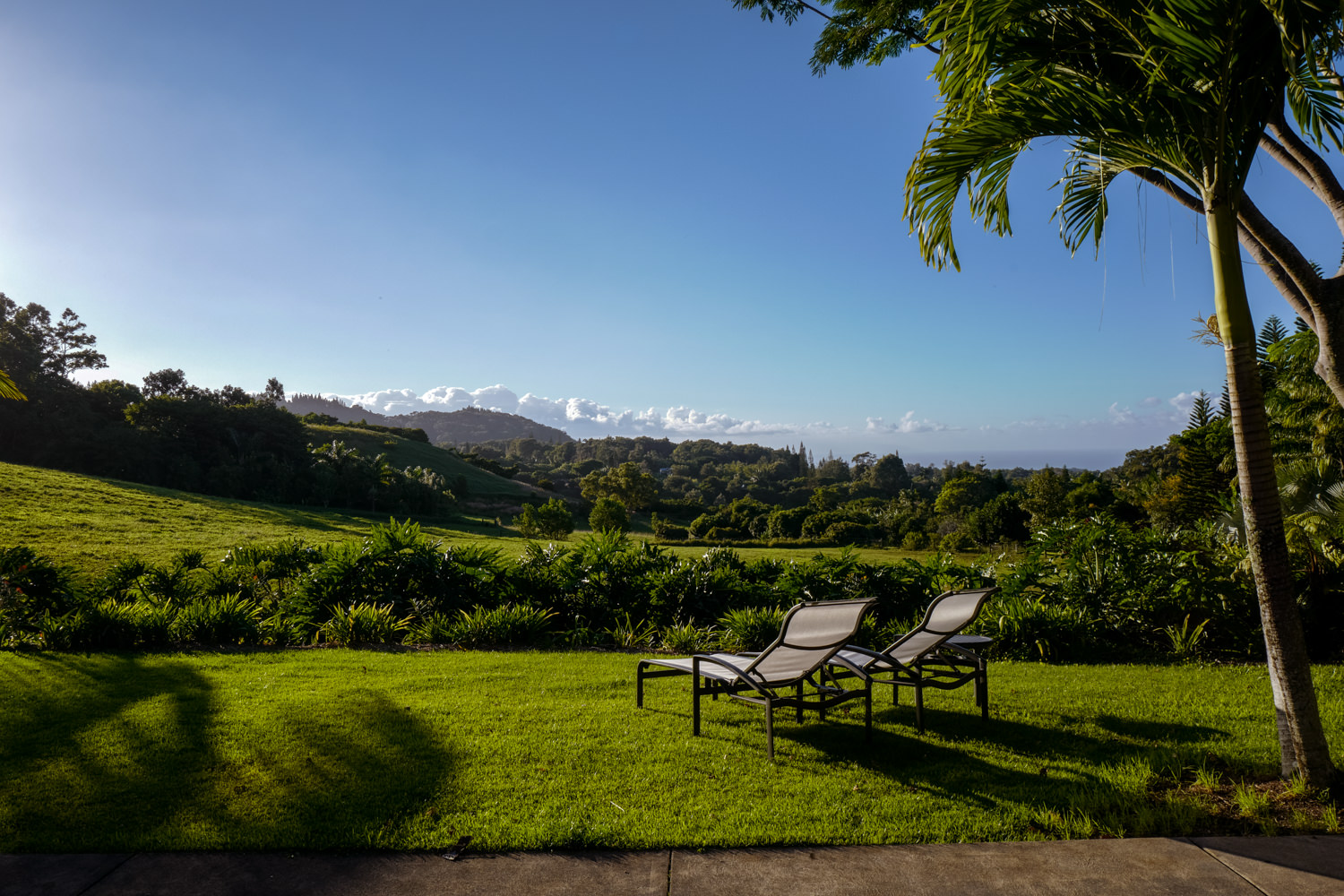 beautiful landscaped tropical garden