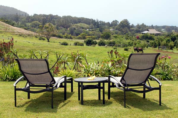 Relaxing lounge area with beautiful garden and ocean view